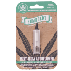 Mint Jelly Autoflower - Humboldt Seed Company - 10 Feminized Autoflower Seeds