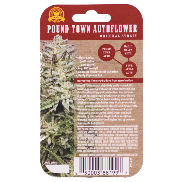 Pound Town Autoflower - Humboldt Seed Company - 10 Feminized Autoflower Seeds